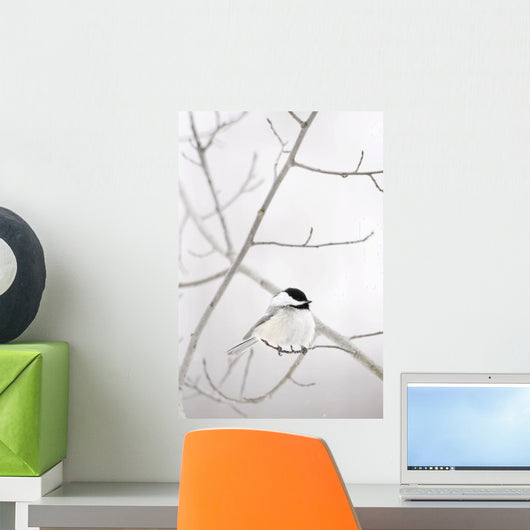 Bird On A Branch Wall Mural