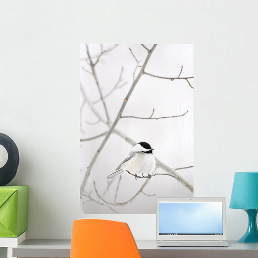 Bird On A Branch Wall Mural