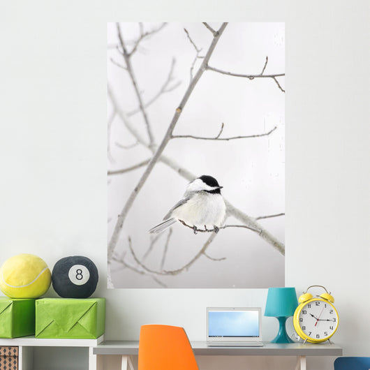 Bird On A Branch Wall Mural