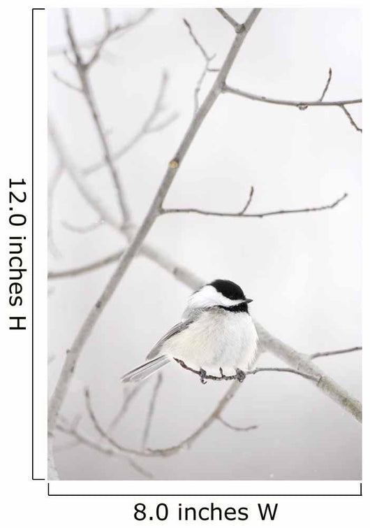 Bird On A Branch Wall Mural