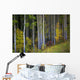 Trees In A Forest Wall Mural