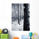 Forest In The Winter Wall Mural