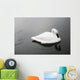 Swan In Calm Water Wall Mural