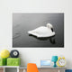 Swan In Calm Water Wall Mural