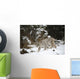 Lynx In The Snow Wall Mural
