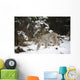 Lynx In The Snow Wall Mural