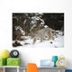 Lynx In The Snow Wall Mural