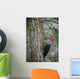 Pileated Woodpecker Wall Mural
