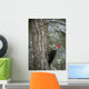 Pileated Woodpecker Wall Mural