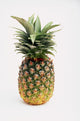 Pineapple Wall Mural
