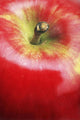 Closeup Of An Apple Wall Mural