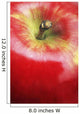 Closeup Of An Apple Wall Mural