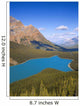 Peyto Lake, Banff National Park, Alberta, Canada Wall Mural