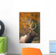 Bull Elk, Jasper National Park, Alberta, Canada Wall Mural