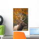 Bull Elk, Jasper National Park, Alberta, Canada Wall Mural