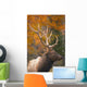 Bull Elk, Jasper National Park, Alberta, Canada Wall Mural