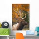 Bull Elk, Jasper National Park, Alberta, Canada Wall Mural