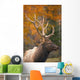 Bull Elk, Jasper National Park, Alberta, Canada Wall Mural