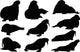 Walrus Silhouette Vector Graphics Wall Decal Sticker Set