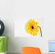 Yellow Gerbera Wall Mural
