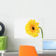 Yellow Gerbera Wall Mural