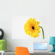 Yellow Gerbera Wall Mural