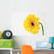 Yellow Gerbera Wall Mural