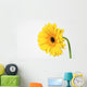 Yellow Gerbera Wall Mural