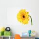 Yellow Gerbera Wall Mural