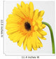 Yellow Gerbera Wall Mural