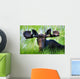 Moose Sitting In A Green Field Of Grass Wall Mural