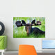 Moose Sitting In A Green Field Of Grass Wall Mural