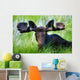 Moose Sitting In A Green Field Of Grass Wall Mural