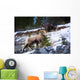 Bighorn Sheep Climbing Snowy Rocky Hill Wall Mural