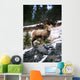 Bighorn Sheep Standing On Rocks Wall Mural