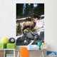 Bighorn Sheep Standing On Rocks Wall Mural