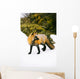 Fox On Snow Wall Mural