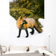 Fox On Snow Wall Mural