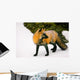 Fox Watching Behind Him Wall Mural