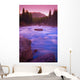 Maligne River Through The Rocky Mountains Wall Mural