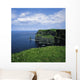 Cliffs Of Moher, Co Clare, Ireland Wall Mural