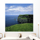 Cliffs Of Moher, Co Clare, Ireland Wall Mural