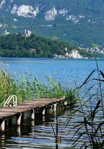 Lac 2 Wall Decal