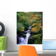 Killarney National Park, Ring Of Kerry, Co Kerry, Ireland Wall Mural