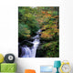 Killarney National Park, Ring Of Kerry, Co Kerry, Ireland Wall Mural