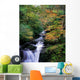 Killarney National Park, Ring Of Kerry, Co Kerry, Ireland Wall Mural
