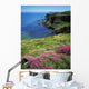 Dunluce Castle, Co Antrim, Ireland Wall Mural