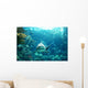 Tiger Shark Wall Decal
