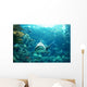 Tiger Shark Wall Decal