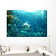Tiger Shark Wall Decal